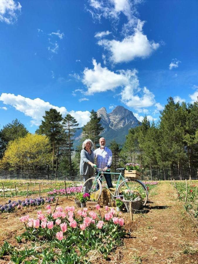 Ca L'Anella Villa Saldés Dış mekan fotoğraf