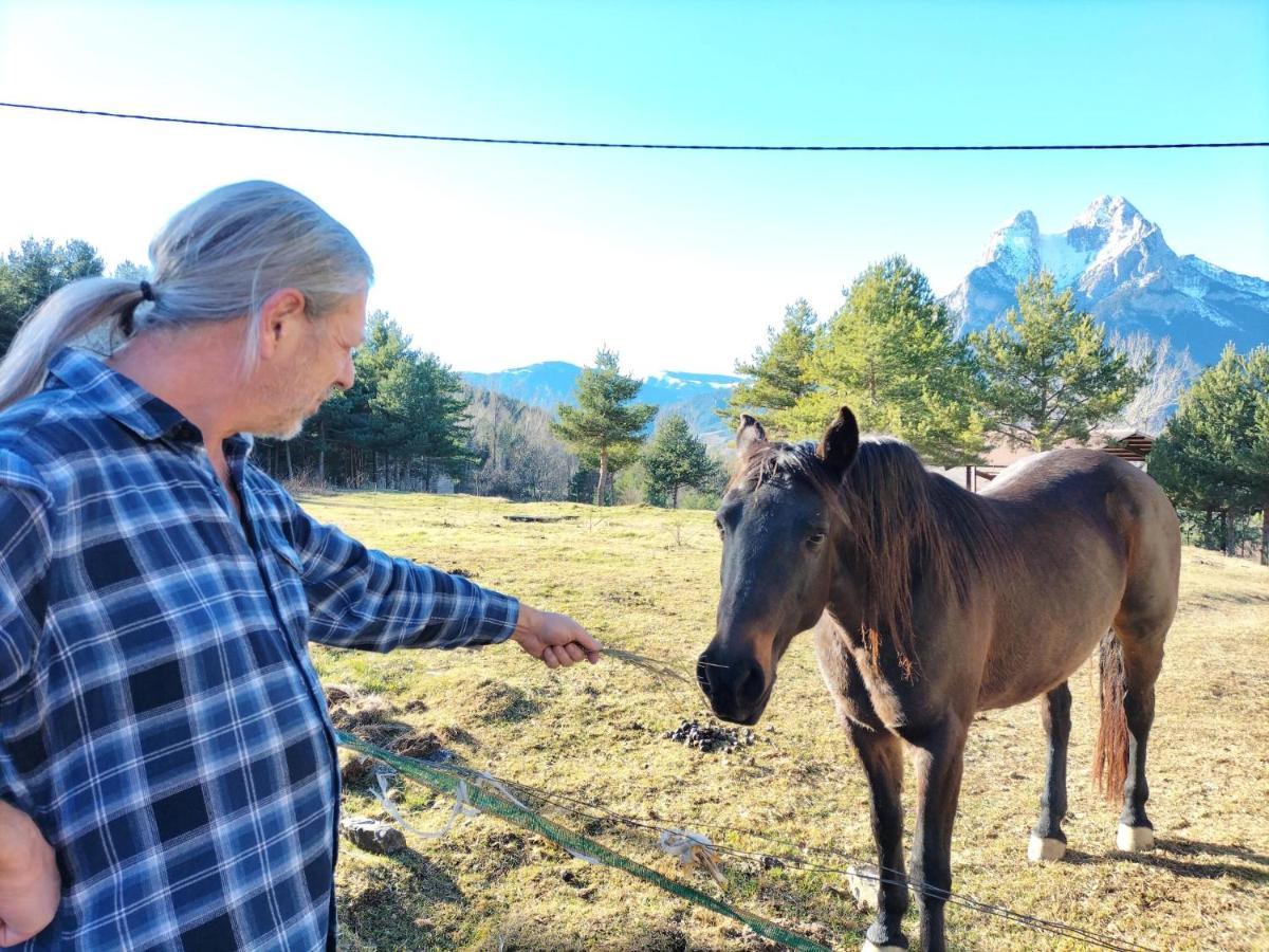 Ca L'Anella Villa Saldés Dış mekan fotoğraf