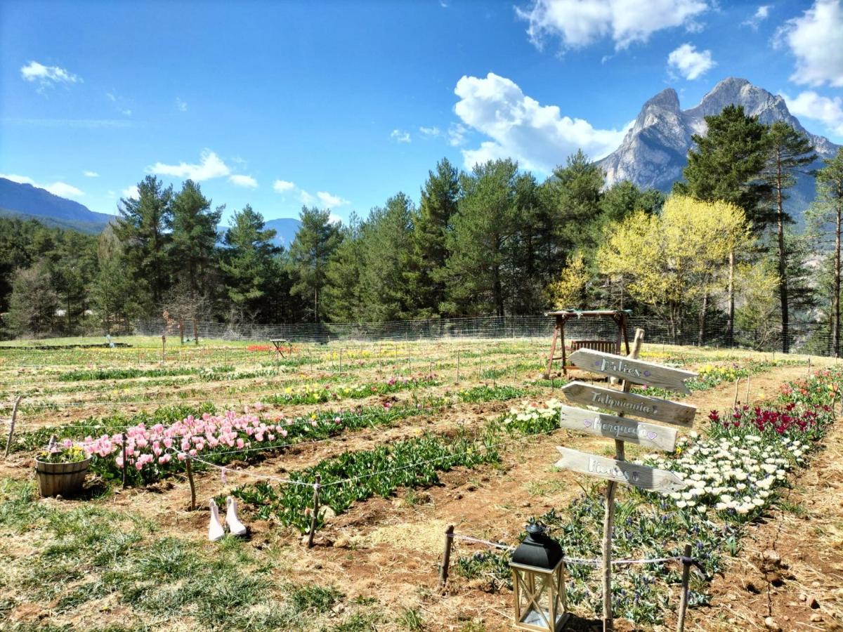 Ca L'Anella Villa Saldés Dış mekan fotoğraf